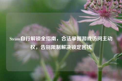 Steam自行解锁全指南，合法掌握游戏访问主动权，告别限制解决锁定困扰