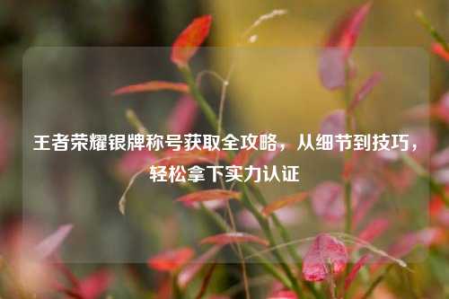 王者荣耀银牌称号获取全攻略，从细节到技巧，轻松拿下实力认证