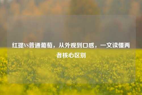 红提VS普通葡萄，从外观到口感，一文读懂两者核心区别
