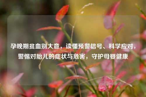 孕晚期贫血别大意，读懂预警信号、科学应对，警惕对胎儿的症状与危害，守护母婴健康