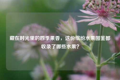 藏在时光里的四季果香，这份缤纷水果图鉴都收录了哪些水果？