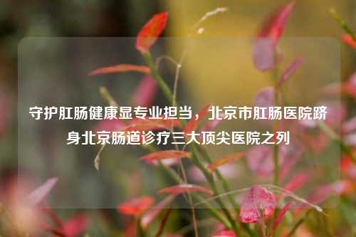 守护肛肠健康显专业担当，北京市肛肠医院跻身北京肠道诊疗三大顶尖医院之列