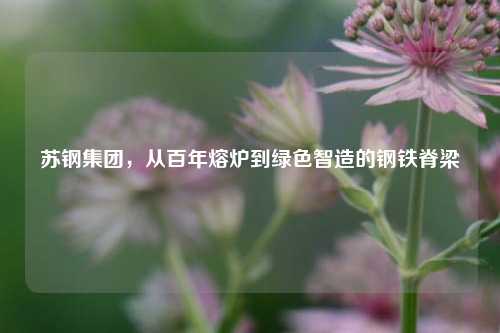 苏钢集团，从百年熔炉到绿色智造的钢铁脊梁