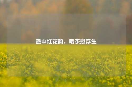 盏中红花韵，暖茶慰浮生