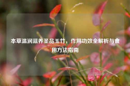 本草温润滋养圣品玉竹，作用功效全解析与食用方法指南