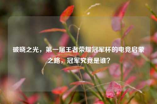 破晓之光，第一届王者荣耀冠军杯的电竞启蒙之路，冠军究竟是谁？