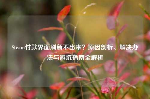 Steam付款界面刷新不出来？原因剖析、解决办法与避坑指南全解析