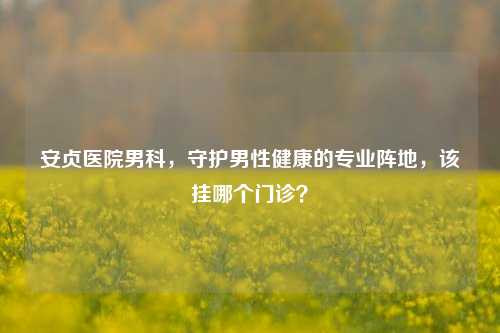 安贞医院男科，守护男性健康的专业阵地，该挂哪个门诊？