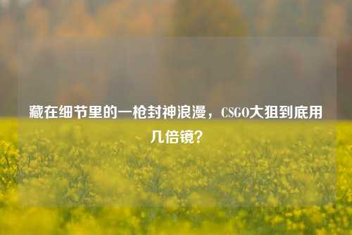 藏在细节里的一枪封神浪漫，CSGO大狙到底用几倍镜？
