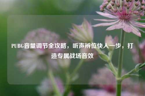 PUBG音量调节全攻略，听声辨位快人一步，打造专属战场音效