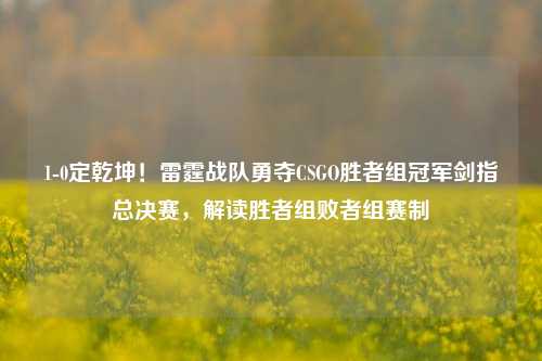 1-0定乾坤！雷霆战队勇夺CSGO胜者组冠军剑指总决赛，解读胜者组败者组赛制