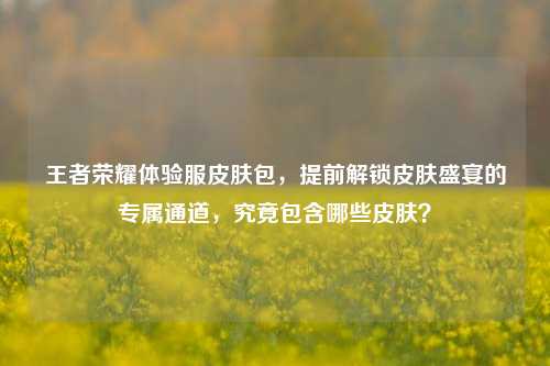 王者荣耀体验服皮肤包，提前解锁皮肤盛宴的专属通道，究竟包含哪些皮肤？