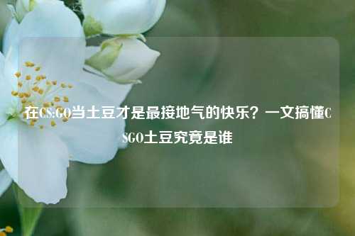 在CS:GO当土豆才是最接地气的快乐？一文搞懂CSGO土豆究竟是谁