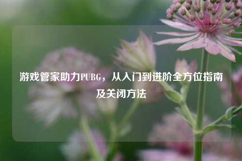 游戏管家助力PUBG，从入门到进阶全方位指南及关闭方法