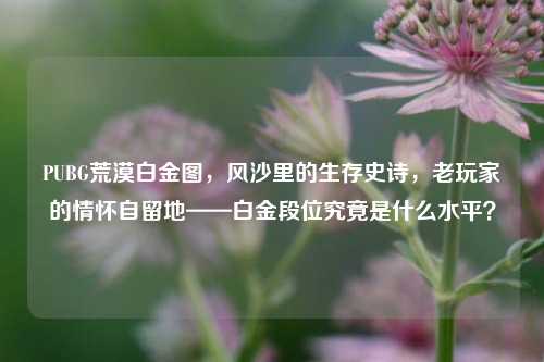 PUBG荒漠白金图，风沙里的生存史诗，老玩家的情怀自留地——白金段位究竟是什么水平？