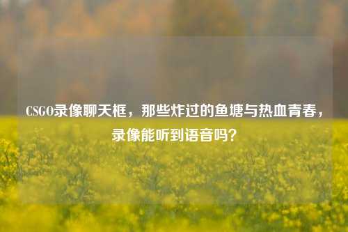 CSGO录像聊天框，那些炸过的鱼塘与热血青春，录像能听到语音吗？