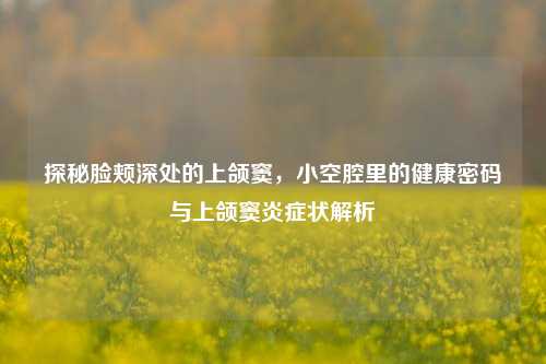 探秘脸颊深处的上颌窦，小空腔里的健康密码与上颌窦炎症状解析