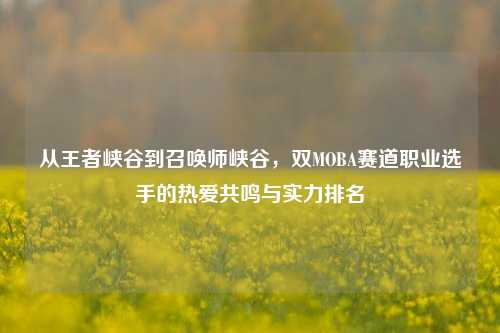 从王者峡谷到召唤师峡谷，双MOBA赛道职业选手的热爱共鸣与实力排名