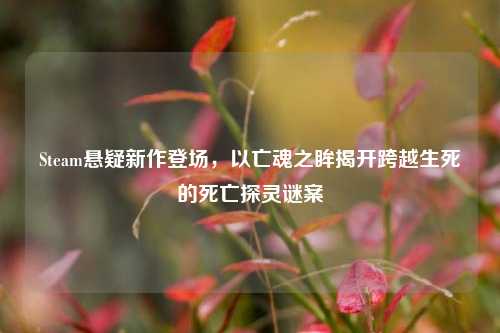 Steam悬疑新作登场，以亡魂之眸揭开跨越生死的死亡探灵谜案