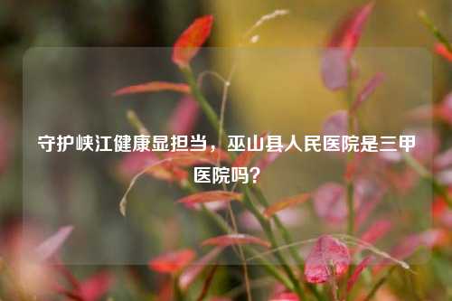 守护峡江健康显担当，巫山县人民医院是三甲医院吗？