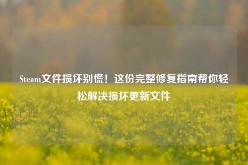 Steam文件损坏别慌！这份完整修复指南帮你轻松解决损坏更新文件