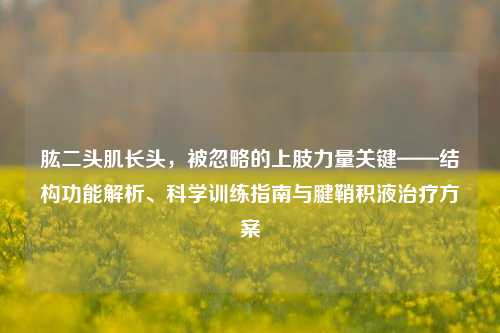 肱二头肌长头，被忽略的上肢力量关键——结构功能解析、科学训练指南与腱鞘积液治疗方案