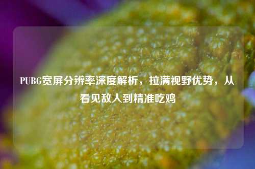PUBG宽屏分辨率深度解析，拉满视野优势，从看见敌人到精准吃鸡