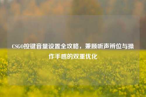 CSGO按键音量设置全攻略，兼顾听声辨位与操作手感的双重优化