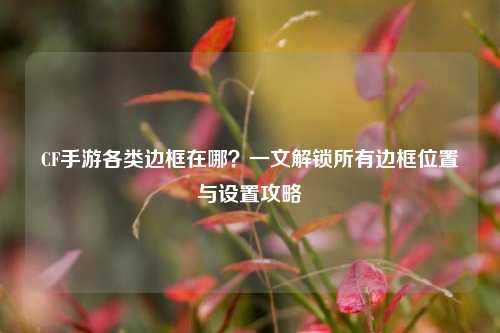 CF手游各类边框在哪？一文解锁所有边框位置与设置攻略