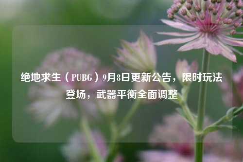 绝地求生（PUBG）9月8日更新公告，限时玩法登场，武器平衡全面调整
