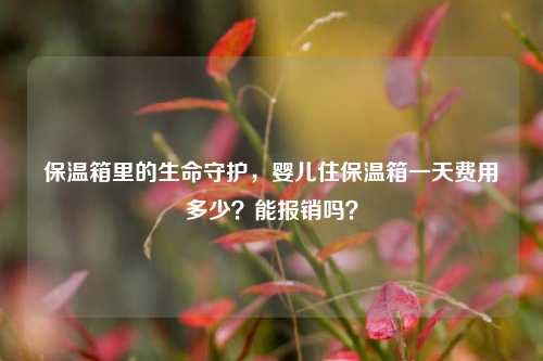 保温箱里的生命守护，婴儿住保温箱一天费用多少？能报销吗？