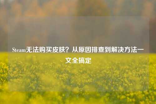 Steam无法购买皮肤？从原因排查到解决方法一文全搞定