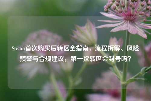 Steam首次购买后转区全指南，流程拆解、风险预警与合规建议，第一次转区会封号吗？