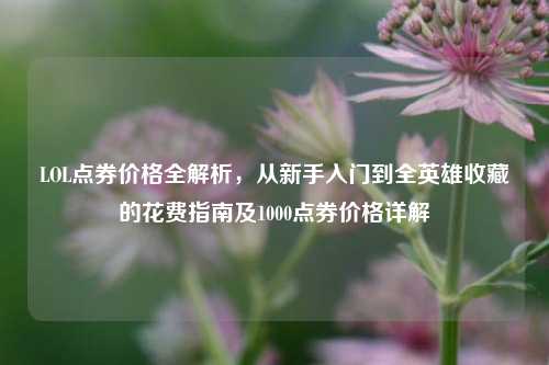 LOL点券价格全解析，从新手入门到全英雄收藏的花费指南及1000点券价格详解