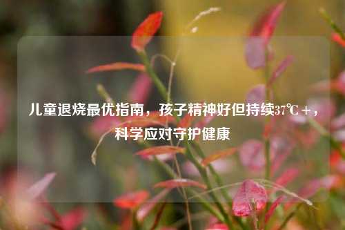 儿童退烧最优指南，孩子精神好但持续37℃+，科学应对守护健康