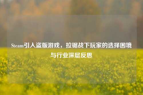 Steam引入盗版游戏，拉锯战下玩家的选择困境与行业深层反思