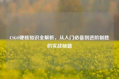 CSGO硬核知识全解析，从入门必备到进阶制胜的实战秘籍
