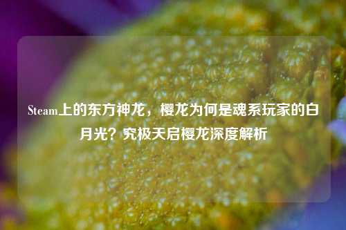 Steam上的东方神龙，樱龙为何是魂系玩家的白月光？究极天启樱龙深度解析