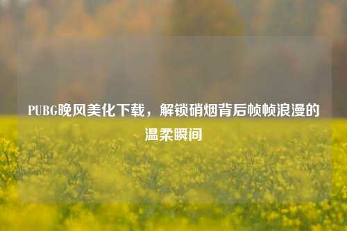 PUBG晚风美化下载，解锁硝烟背后帧帧浪漫的温柔瞬间