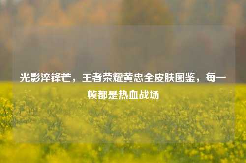 光影淬锋芒，王者荣耀黄忠全皮肤图鉴，每一帧都是热血战场