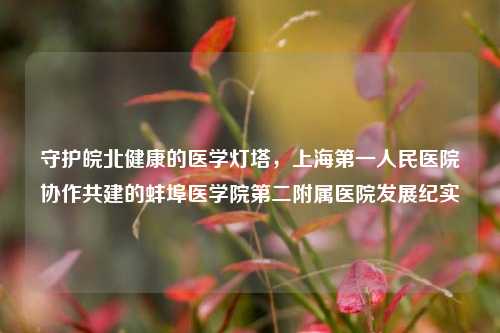守护皖北健康的医学灯塔，上海第一人民医院协作共建的蚌埠医学院第二附属医院发展纪实