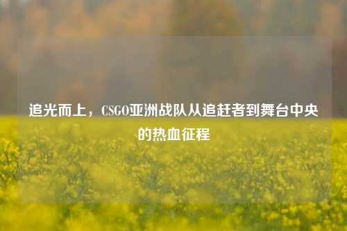 追光而上，CSGO亚洲战队从追赶者到舞台中央的热血征程