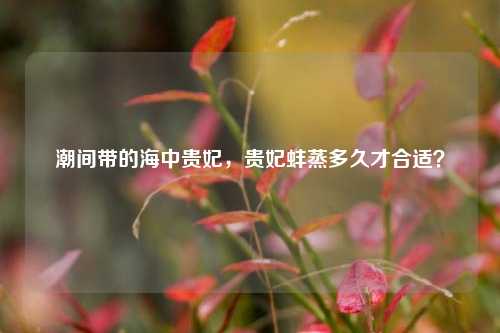 潮间带的海中贵妃，贵妃蚌蒸多久才合适？