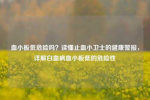 血小板低危险吗？读懂止血小卫士的健康警报，详解白血病血小板低的危险性