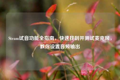 Steam试音功能全指南，快速找到并测试麦克风，教你设置音频输出