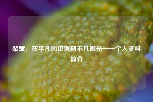 黎斌，在平凡岗位镌刻不凡微光——个人资料简介