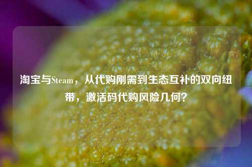 淘宝与Steam，从代购刚需到生态互补的双向纽带，激活码代购风险几何？