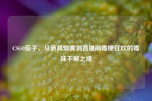 CSGO茄子，从道具烟雾到直播间毒梗狂欢的毒味不解之缘