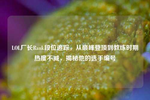 LOL厂长Rank段位追踪，从巅峰登顶到教练时期热度不减，揭秘他的选手编号