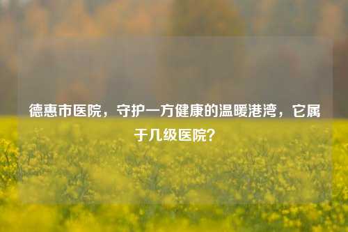 德惠市医院，守护一方健康的温暖港湾，它属于几级医院？